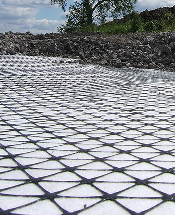 geogrid