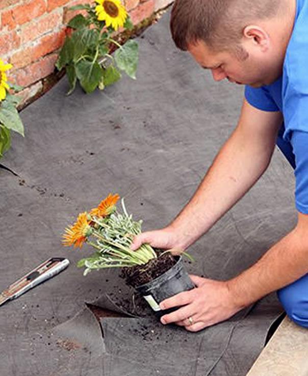 urban-planting-solutions